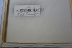 HARE135504
