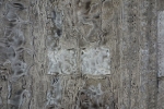 HARE140752