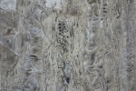 HARE140752